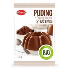 Amylon Čokoládový puding BIO 40g