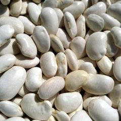 Natural Jihlava VB Fazuľa biela maslová stredná 5kg