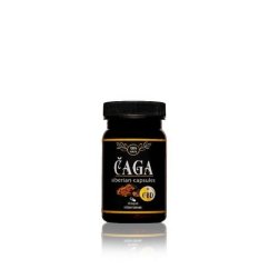 Čaga Sibírska + CBD 60 kapsúl